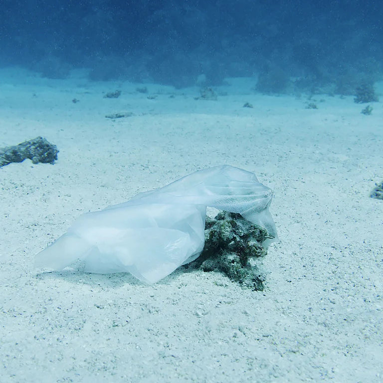 Why wet wipes are bad for the environment and what are your alternativ