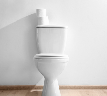 Exploring the Wide World of Toilet Hygiene: A Comprehensive Guide