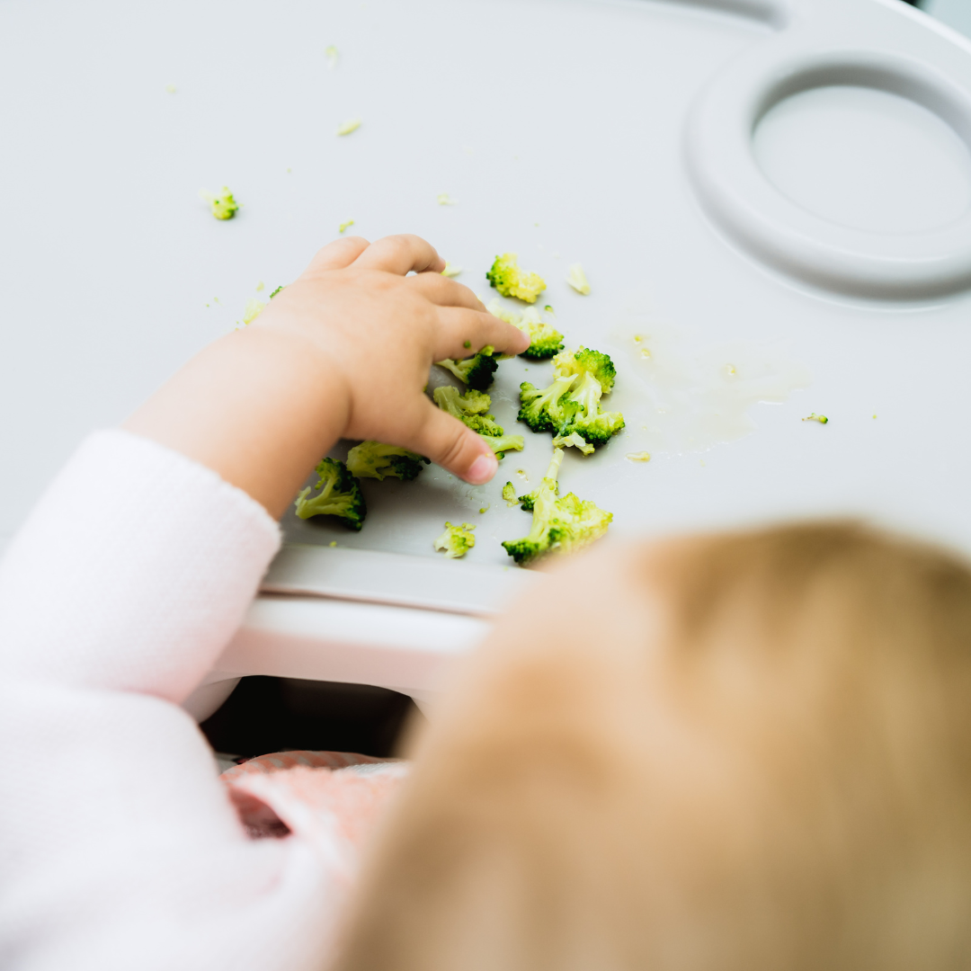 10 Top Tips for Eco-Friendly Weaning: Nurturing Our Babies and the Planet